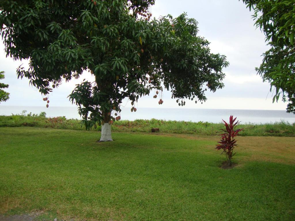 By The Sea Vacation Home And Villa Port Antonio Room photo